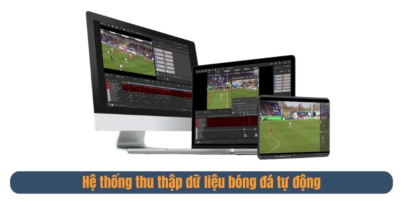 Giới thiệu hệ thống thu thập và xác minh dữ liệu tự động của Fifadata