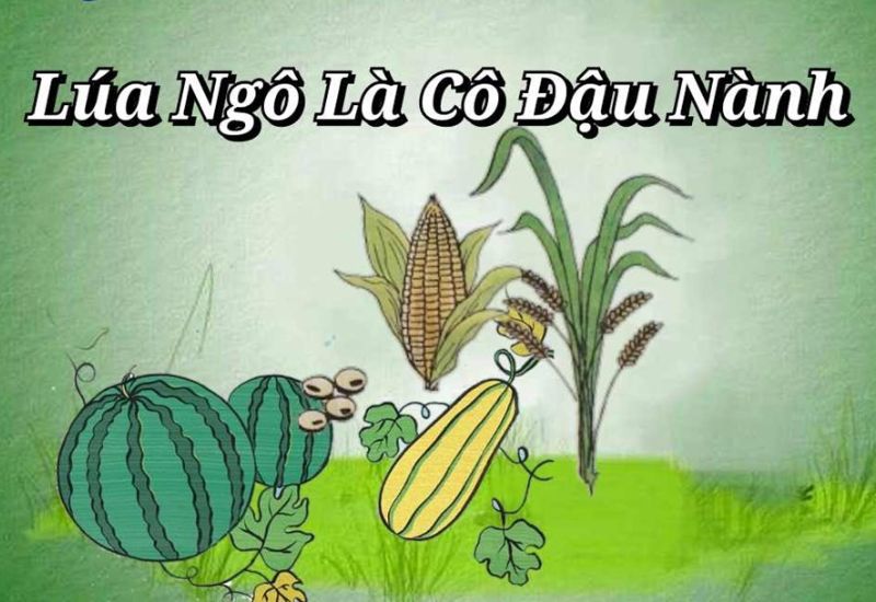 đồng dao lúa ngô là cô đậu nành