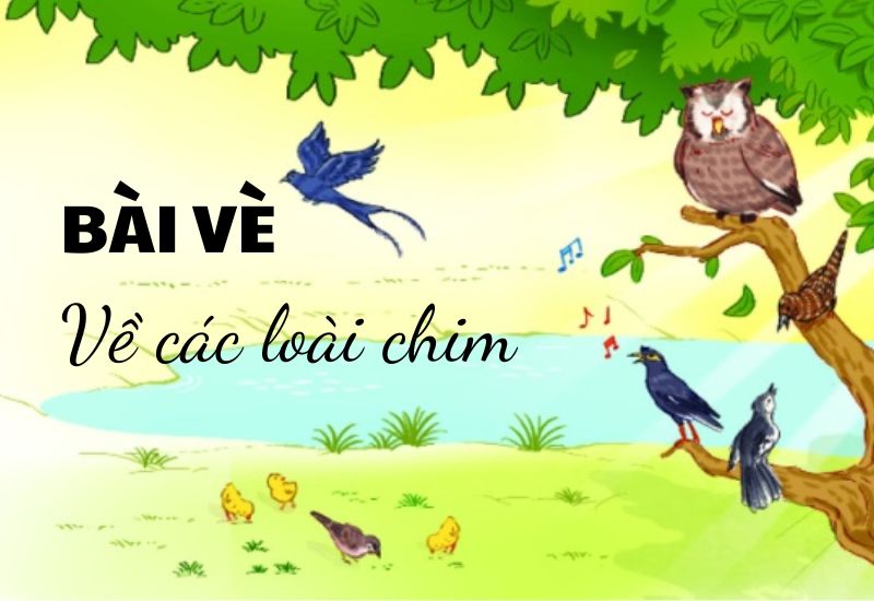 những bài vè hay